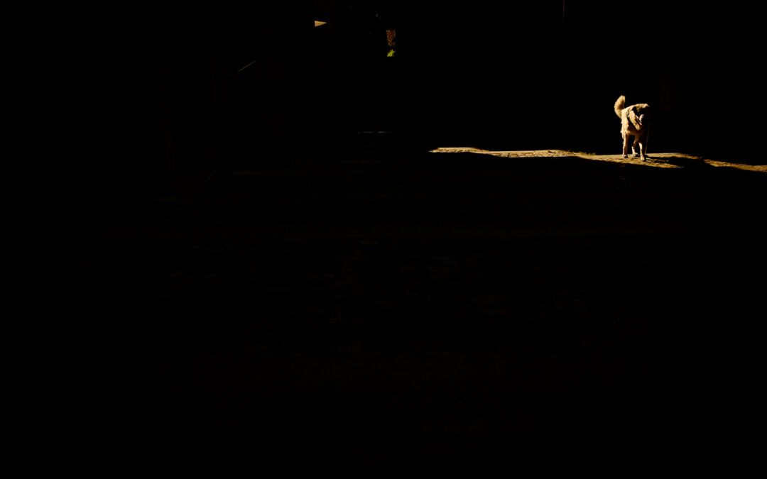 outoftheshadow-4