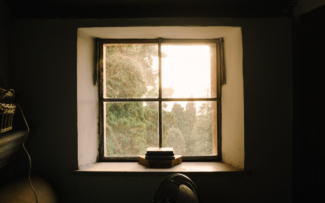 fromthewindow-7